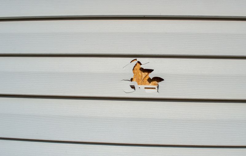 Vinyl Siding Repair Costs — Cost of Vinyl Siding Repair